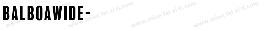 BalboaWide字体转换