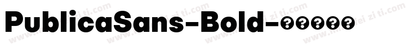 PublicaSans-Bold字体转换