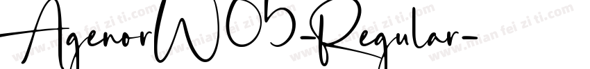 AgenorW05-Regular字体转换