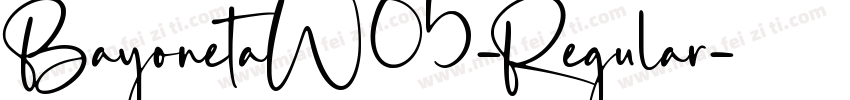 BayonetaW05-Regular字体转换
