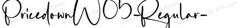 PricedownW05-Regular字体转换