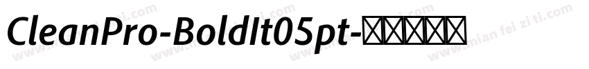CleanPro-BoldIt05pt字体转换
