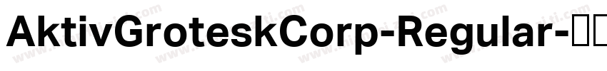 AktivGroteskCorp-Regular字体转换