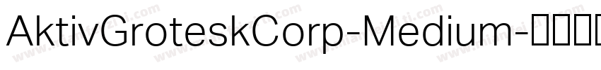 AktivGroteskCorp-Medium字体转换