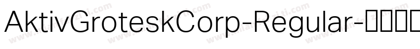AktivGroteskCorp-Regular字体转换