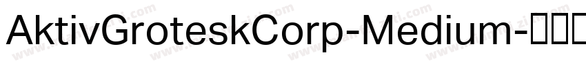 AktivGroteskCorp-Medium字体转换