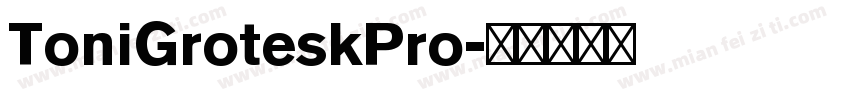 ToniGroteskPro字体转换