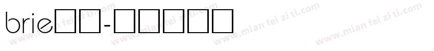 brie字库字体转换
