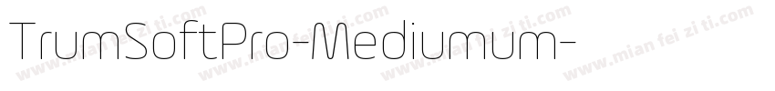 TrumSoftPro-Mediumum字体转换