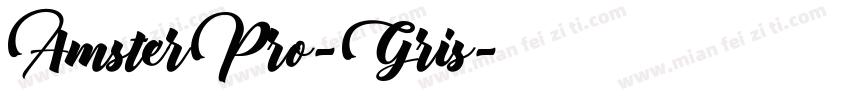 AmsterPro-Gris字体转换