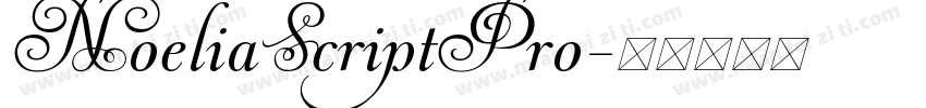 NoeliaScriptPro字体转换