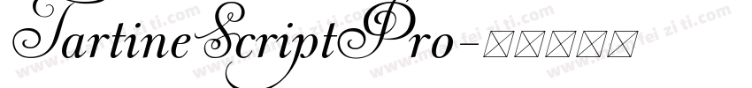 TartineScriptPro字体转换