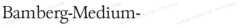 Bamberg-Medium字体转换
