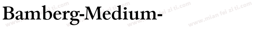 Bamberg-Medium字体转换
