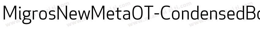MigrosNewMetaOT-CondensedBook字体转换