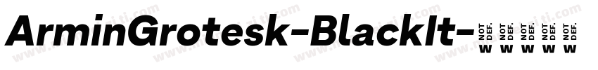 ArminGrotesk-BlackIt字体转换