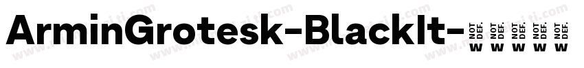 ArminGrotesk-BlackIt字体转换