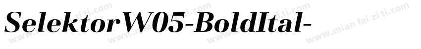 SelektorW05-BoldItal字体转换