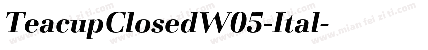 TeacupClosedW05-Ital字体转换