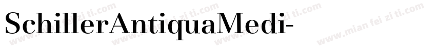 SchillerAntiquaMedi字体转换