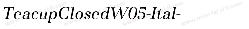 TeacupClosedW05-Ital字体转换