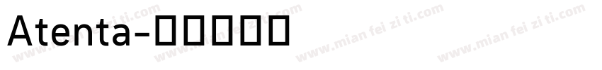 Atenta字体转换