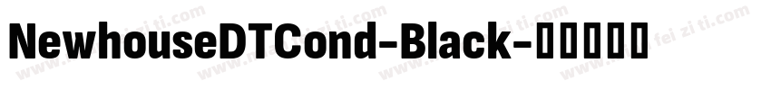 NewhouseDTCond-Black字体转换