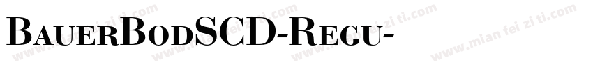 BauerBodSCD-Regu字体转换
