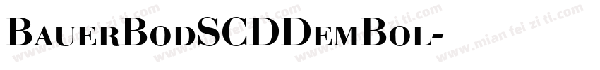 BauerBodSCDDemBol字体转换