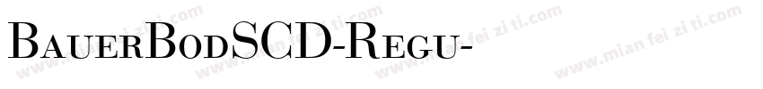 BauerBodSCD-Regu字体转换