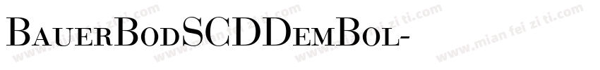 BauerBodSCDDemBol字体转换