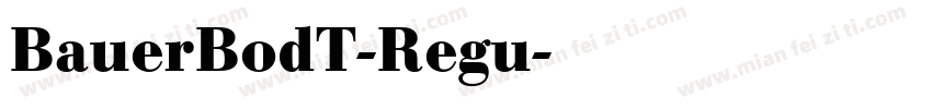 BauerBodT-Regu字体转换