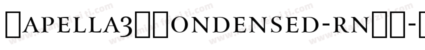 Capella3DCondensed-rnRK字体转换