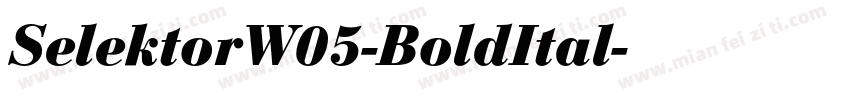SelektorW05-BoldItal字体转换