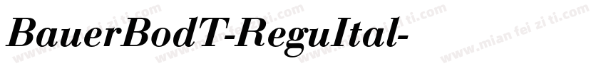 BauerBodT-ReguItal字体转换