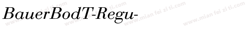 BauerBodT-Regu字体转换