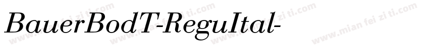 BauerBodT-ReguItal字体转换