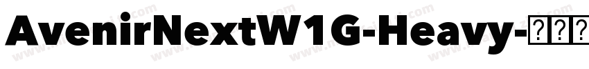 AvenirNextW1G-Heavy字体转换