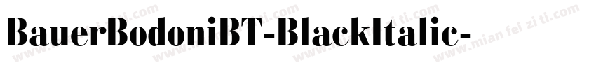 BauerBodoniBT-BlackItalic字体转换