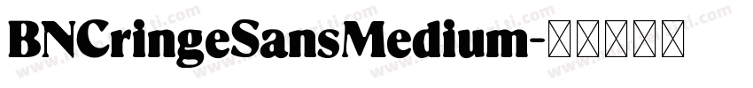BNCringeSansMedium字体转换 BNCringeSansMedium字体转换