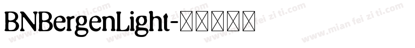 BNBergenLight字体转换