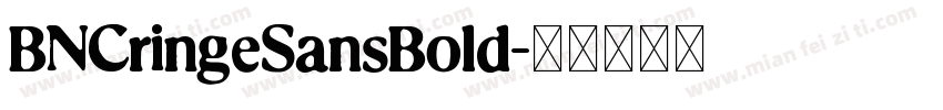 BNCringeSansBold字体转换