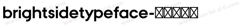 brightsidetypeface字体转换
