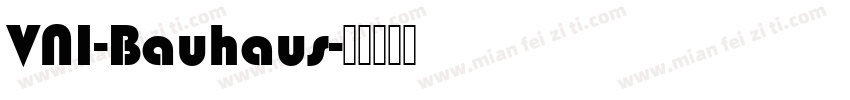 VNI-Bauhaus字体转换
