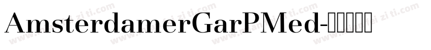 AmsterdamerGarPMed字体转换