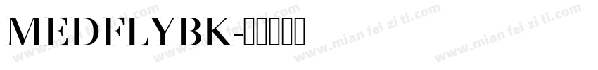MEDFLYBK字体转换