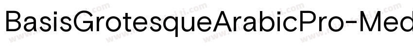 BasisGrotesqueArabicPro-Medium字体转换