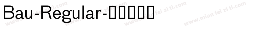 Bau-Regular字体转换