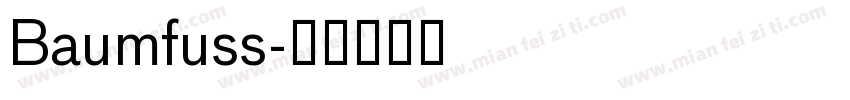 Baumfuss字体转换