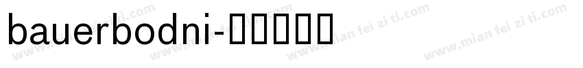 bauerbodni字体转换